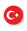 Turkish Translation Services